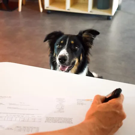 Ibis Budget Viaduc Szálloda Millau