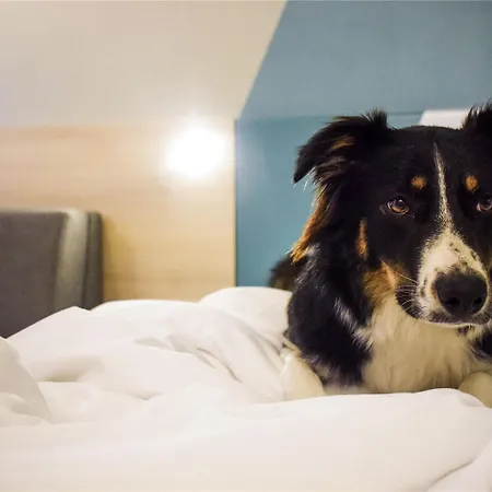 Ibis Budget Viaduc فندق 3*