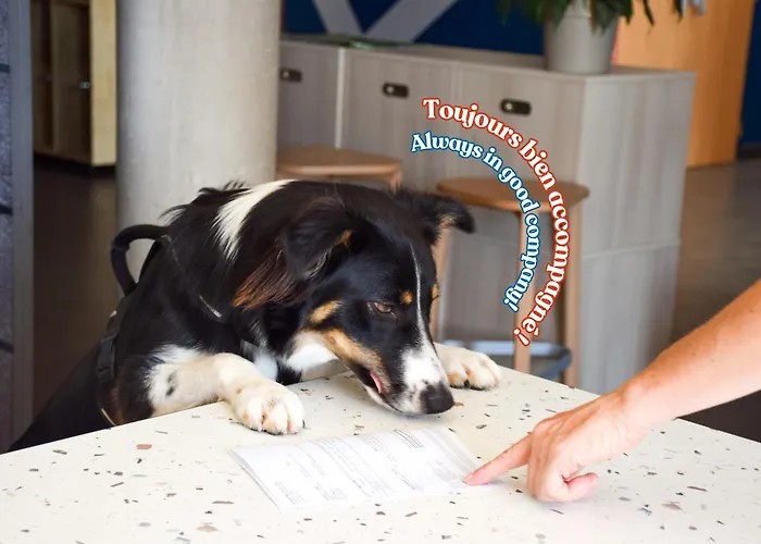 Отель Ibis Budget Viaduc